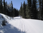Moraine