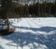 Rolly Road