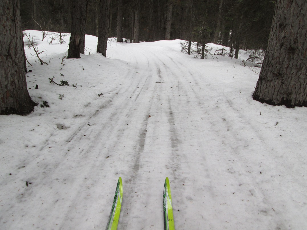 Fox Creek had a few icy spots