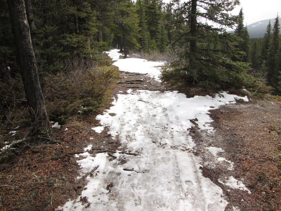 Moraine