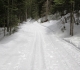 Fox Creek
