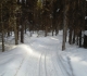 Fox Creek