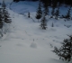 Fox Creek
