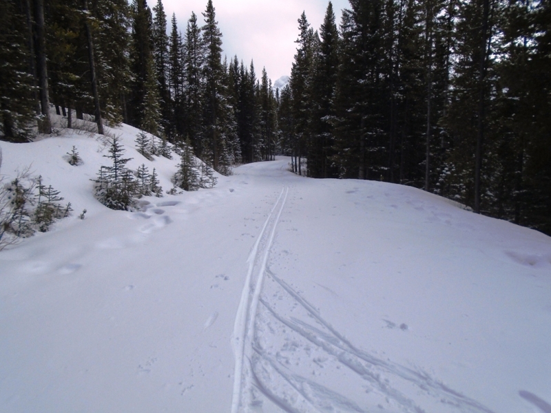 Moraine