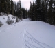 Moraine