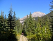 Redearth creek bike