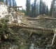 Redearth Creek