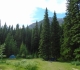 Redearth Creek