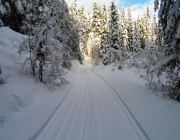 Good tracks and cold snow
