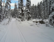 The trail was snowmobile packed beyond the campground