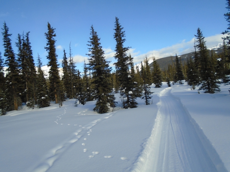 Redearth Creek