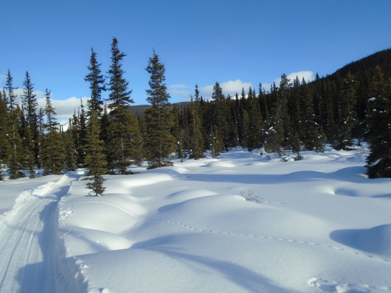 Redearth creek