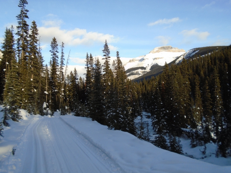 Redearth creek