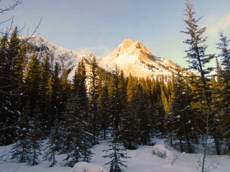 Redearth creek