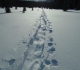 Trail to Shadow Lake