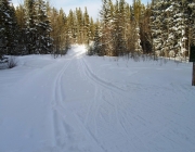 Marmot basin trail