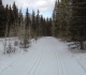 Aspen