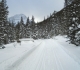Old Ribbon creek