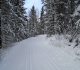 Kovach near Kananaskis village