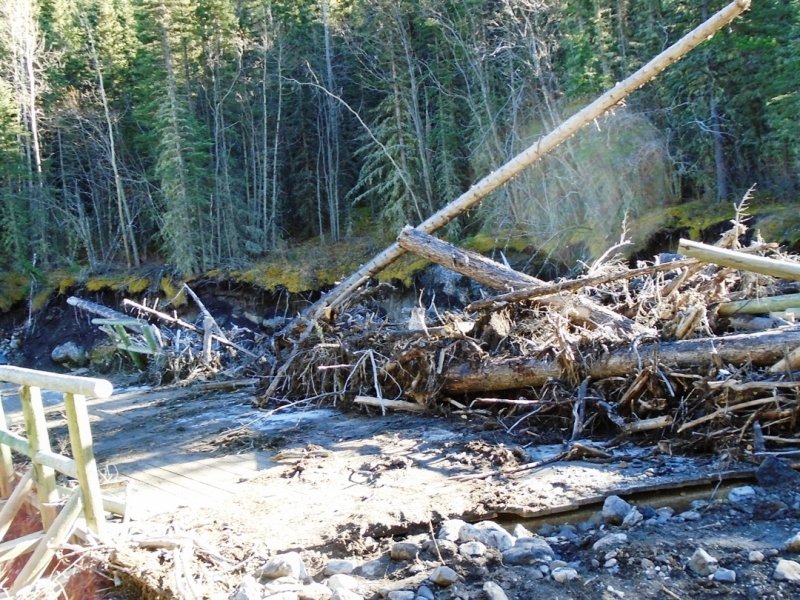 Ribbon creek
