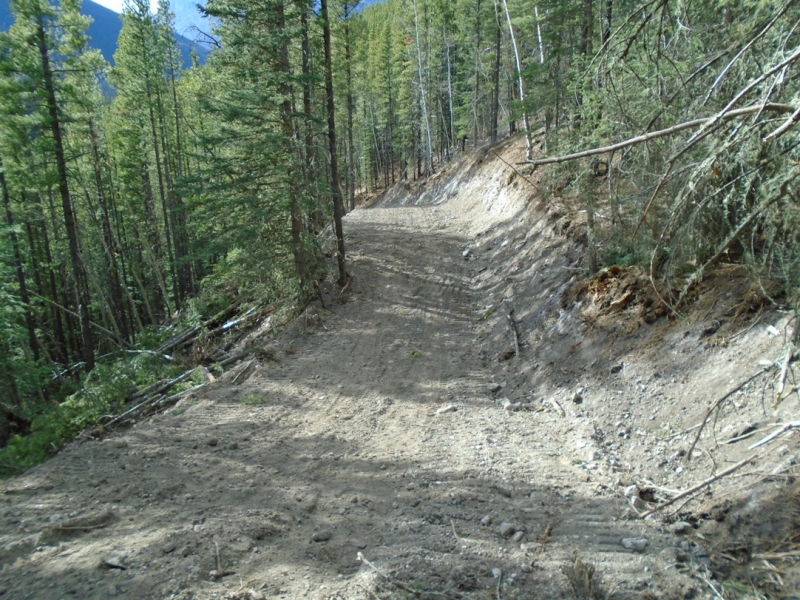 New ski trail