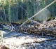 Ribbon creek