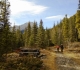 Ribbon creek