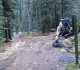 Ribbon creek/Link junction