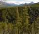 Viewpoint on new ski trail