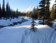 Tracks for snowshoers and skiers on the way to Shadow lake