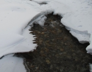 Interesting ice formations on Redearth creek