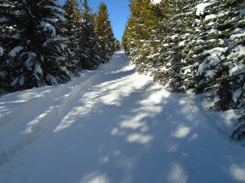 Skogan pass