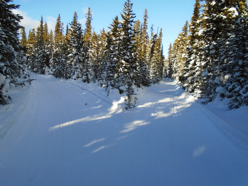 Skogan pass - loop junction
