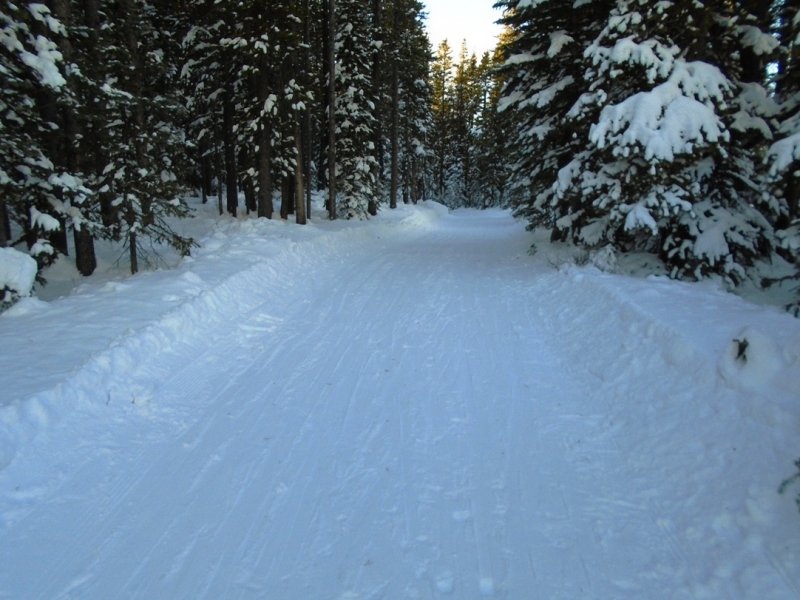 Skogan pass