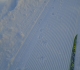 Deer tracks on Skogan pass