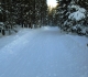 Skogan pass