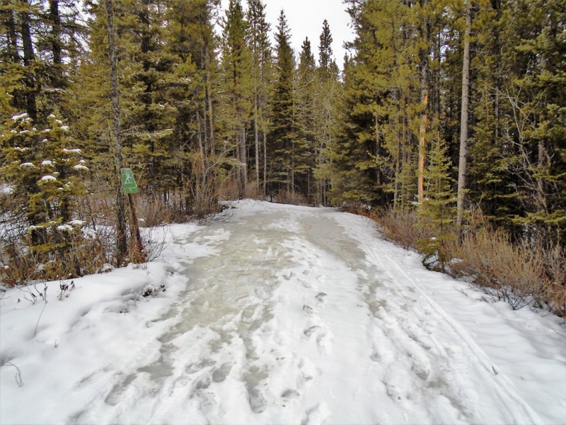 Skogan Pass