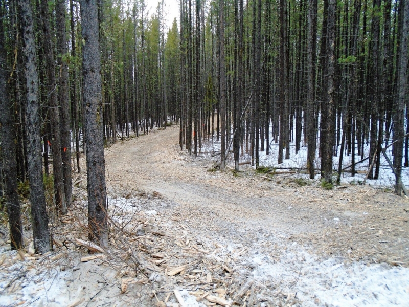 Skogan Pass