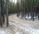 Skogan Pass