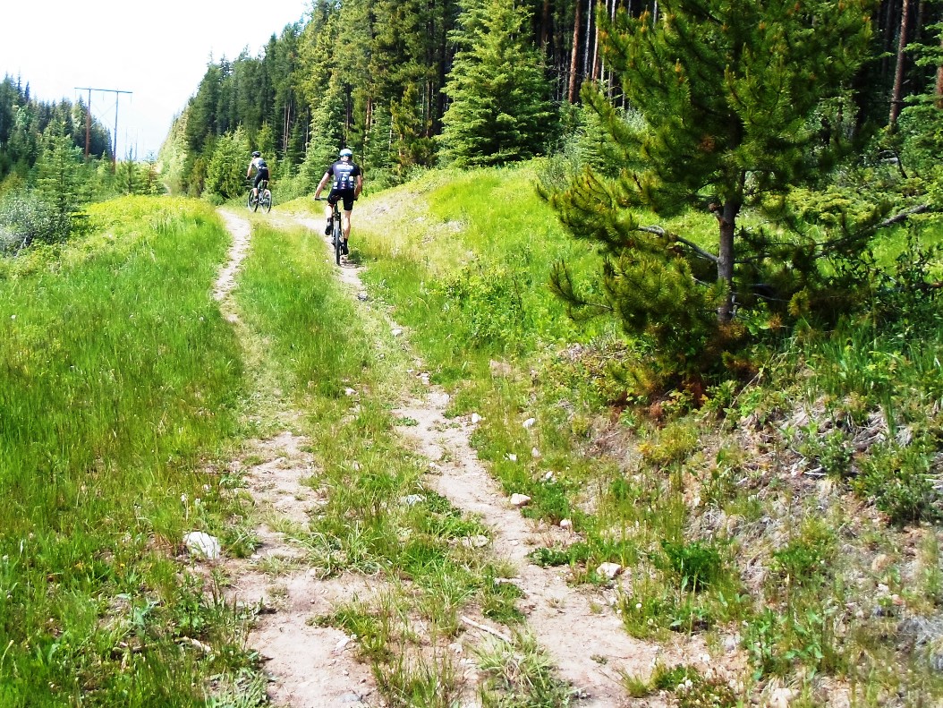 Skogan pass