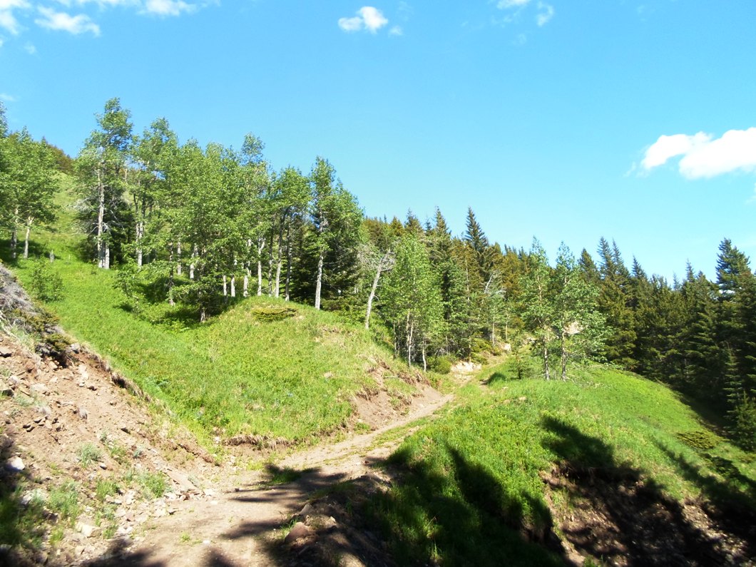 Skogan pass