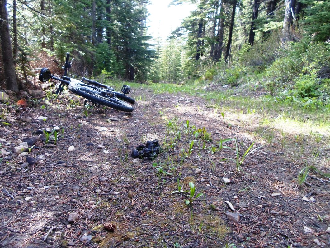 Skogan pass