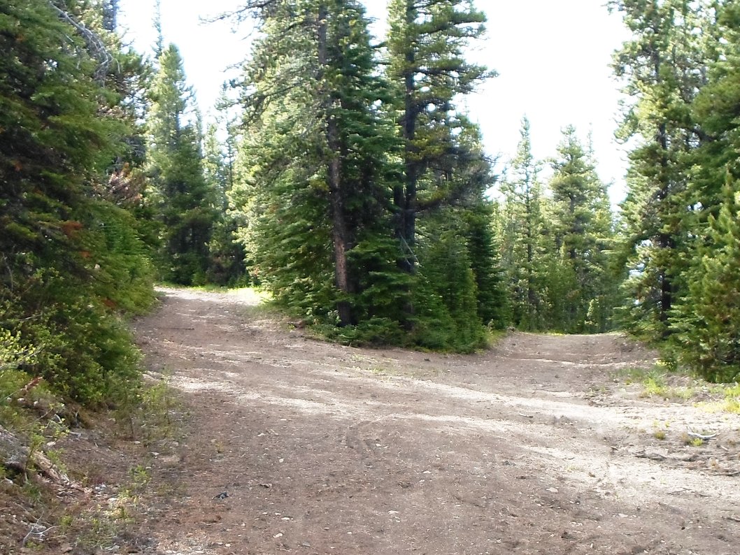 Skogan pass