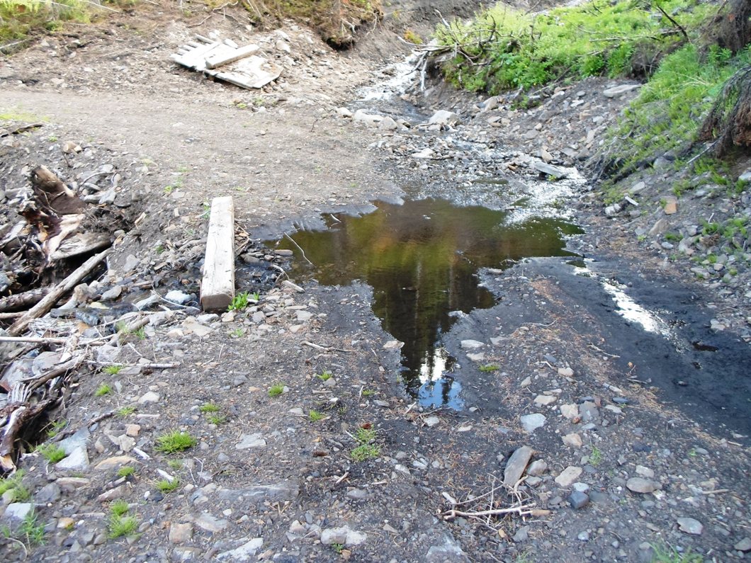 Skogan pass