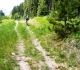 Skogan pass