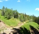 Skogan pass