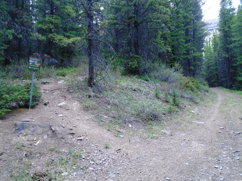 Skogan Pass