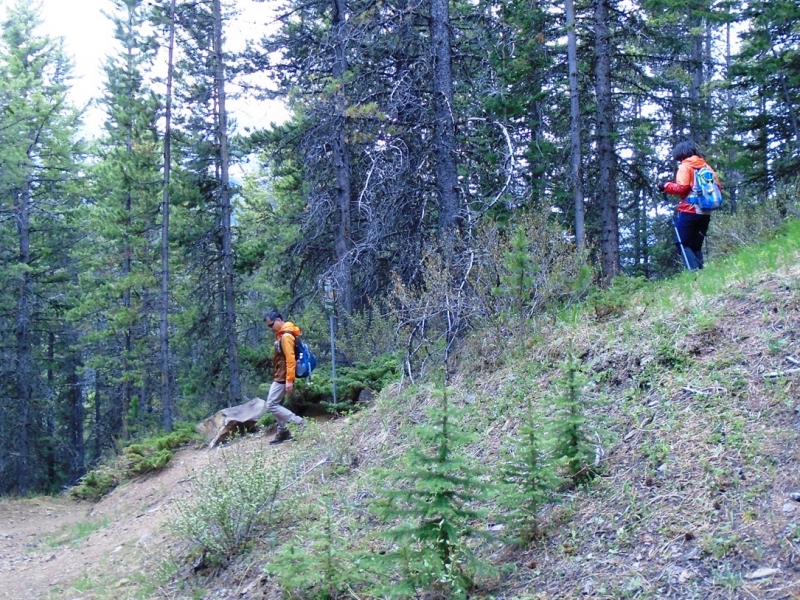 Skogan Pass