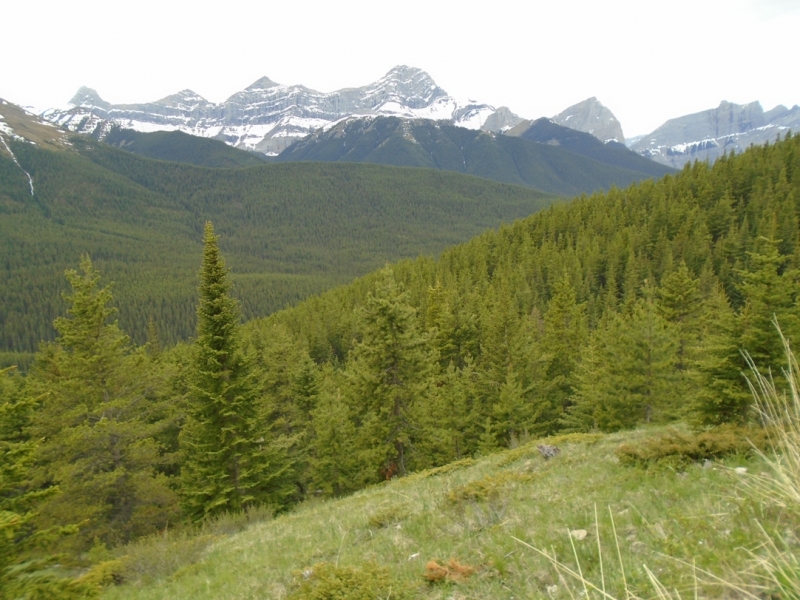 Skogan Pass