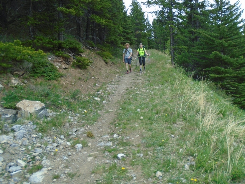 Skogan Pass